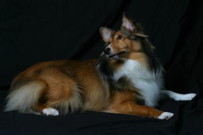 Skye