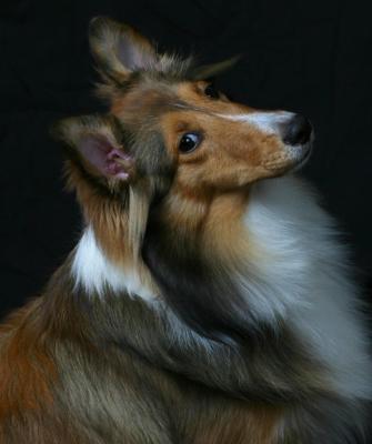 Skye