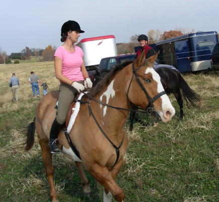 Tess