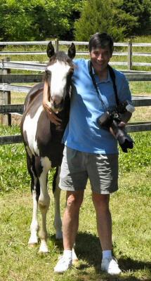 2004 Bay Overo Paint Filly - Lucy
