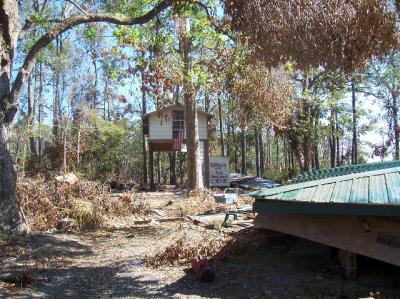 v3/27/305127/3/50439691.Katrina308LargeWebview.jpg