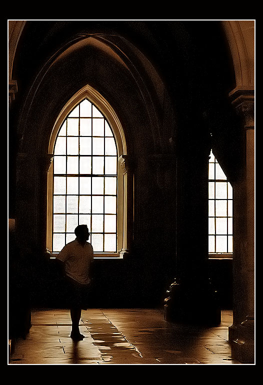 11.09.2005 ... Against the light ...