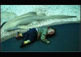 31.10.2005 ...Lucas laying down with the big fish ...