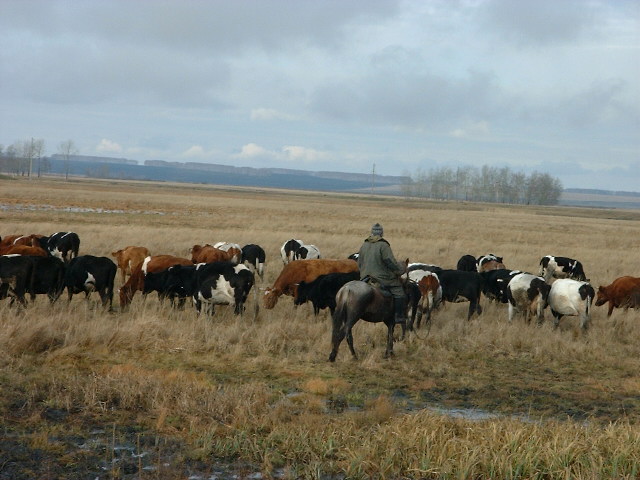 DSCF0174.JPG