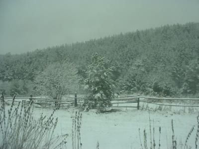 DSCF0205.JPG