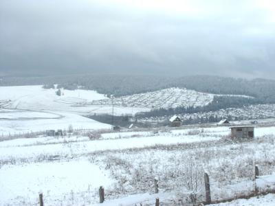 DSCF0212.JPG