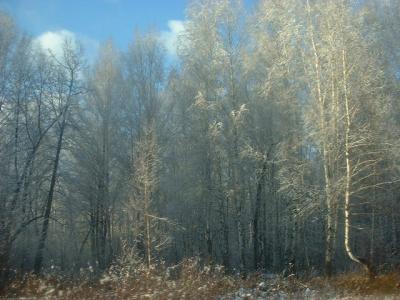 DSCF0214.JPG