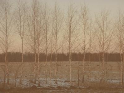 DSCF0219.JPG