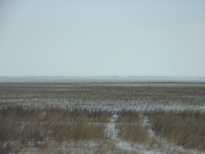 DSCF0233.JPG