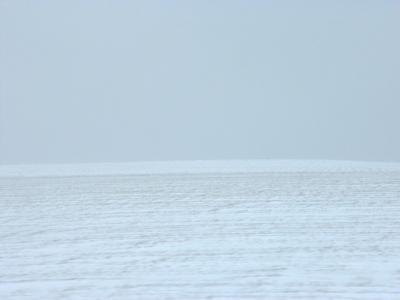 DSCF0239.JPG