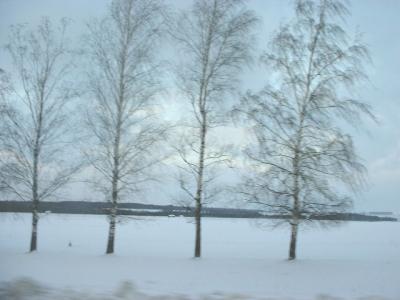 DSCF0245.JPG