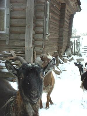 DSCF0251.JPG