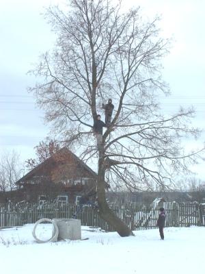DSCF0259.JPG