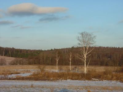 DSCF0288.JPG