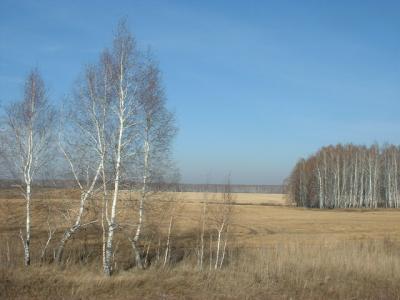 DSCF0082.JPG
