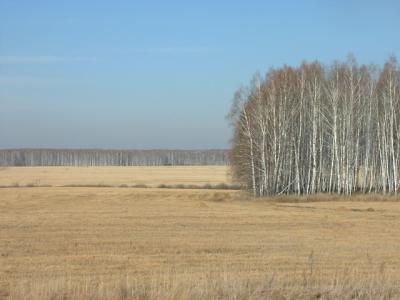 DSCF0084.JPG