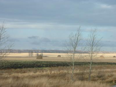 DSCF0172.JPG