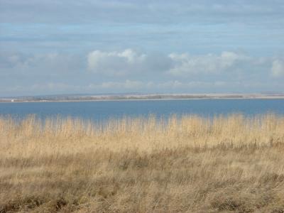 DSCF0178.JPG
