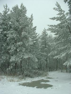 DSCF0191.JPG