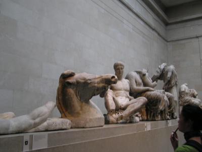 Dionisos genitals