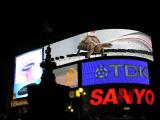 Piccadilly Circus