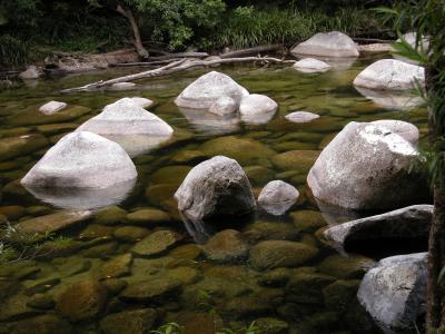 v3/27/408327/3/51792917.MossmanGorge3.jpg