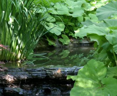 gardens_powell