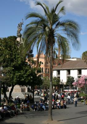 OldCitySquareEnSabado.jpg