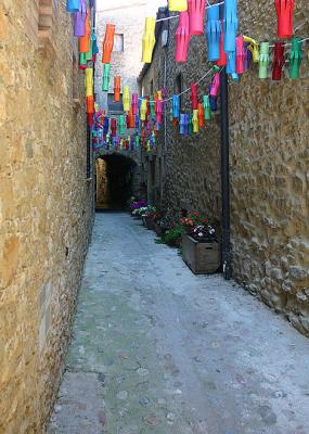 IMG_4768bp80.jpg