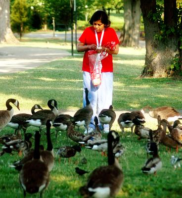 Lady feeding the ducks