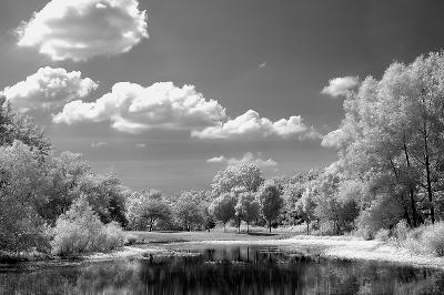 Deerwood Park Pond with Infrared Filter
