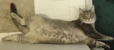 Thomas stretched out on the bathroom floor