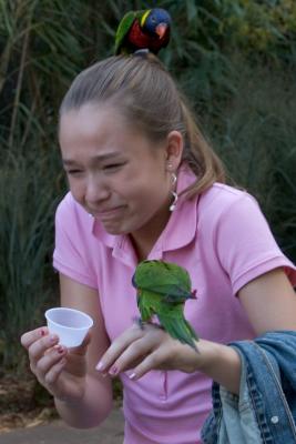 A bird in the hand is worth.......a new hair style?