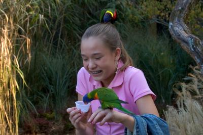 The Lorikeet is trying to fix Alex's hair a different way. 