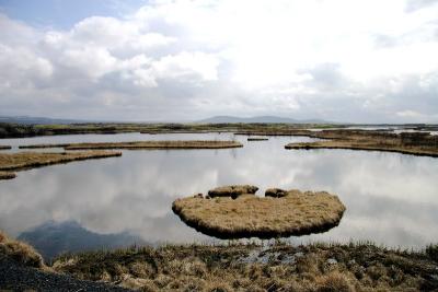 Lake.jpg