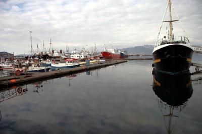 Pingviller and Reykjavik