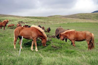 West Central Iceland