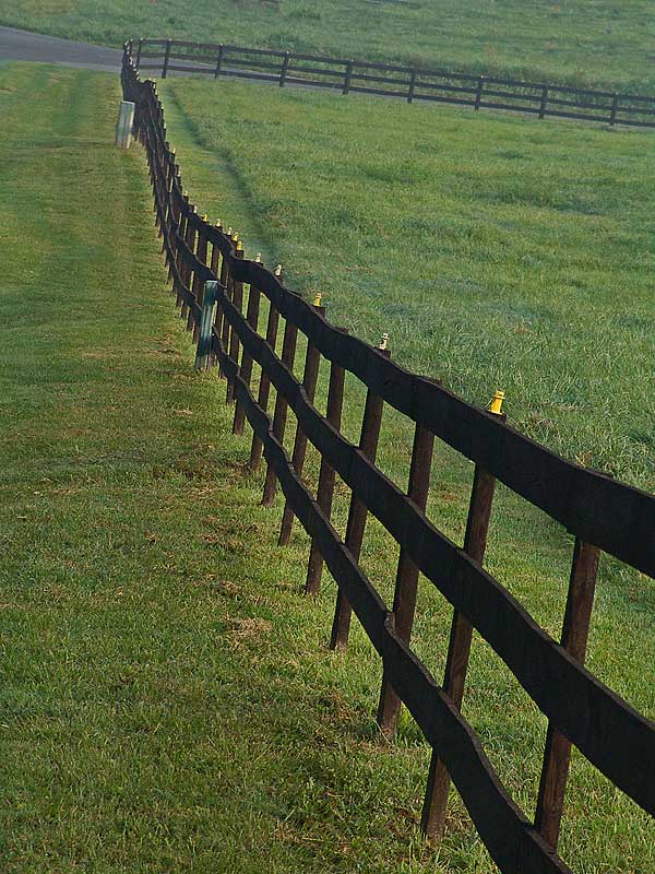 fenceDSC07072.jpg