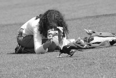 Watch the birdie!