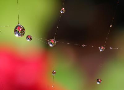 Red and green