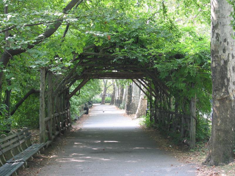 centralpark - 03.jpg