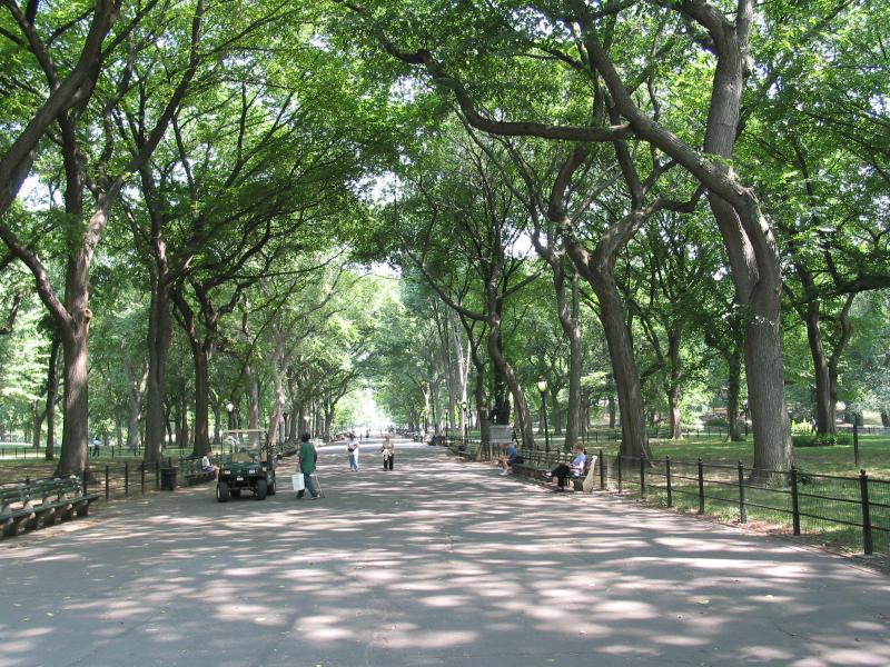 centralpark - 24.jpg