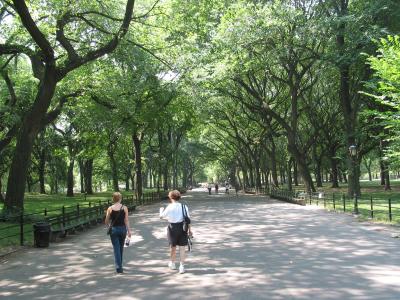 centralpark - 23.jpg