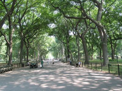 centralpark - 24.jpg