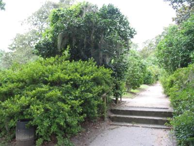 middletonplace - 08.jpg