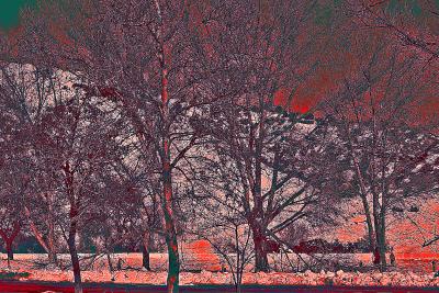Winter snow