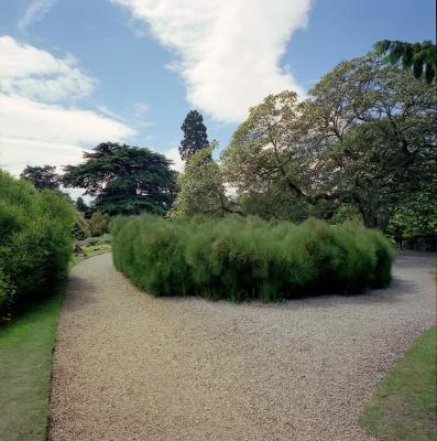 Cambs, botanical garden