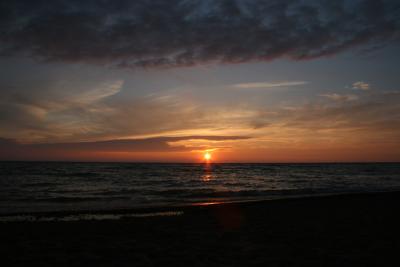 IMG_0412.jpg