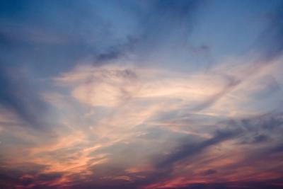_MG_0575-cr2-n-web.jpg