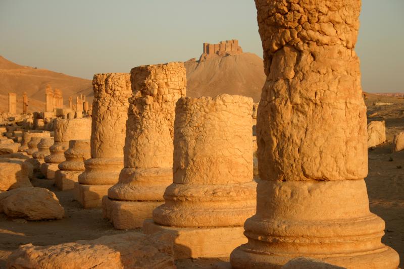 Pillars and Arabic castle, Palmyra